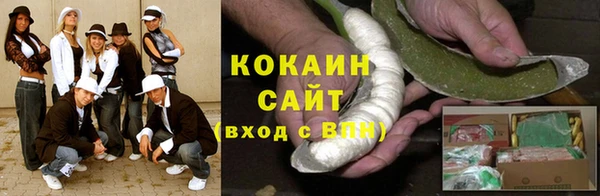 прущие грибы Дмитровск