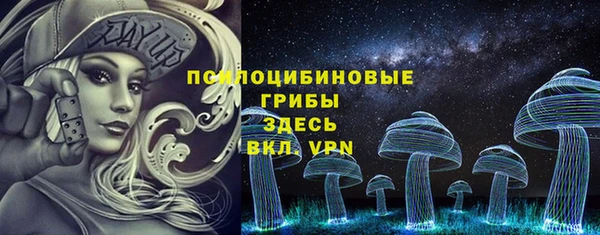 прущие грибы Дмитровск
