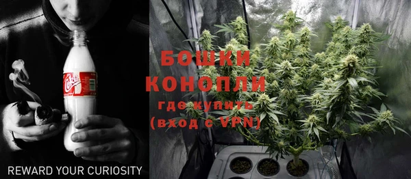 прущие грибы Дмитровск