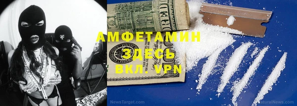 прущие грибы Дмитровск