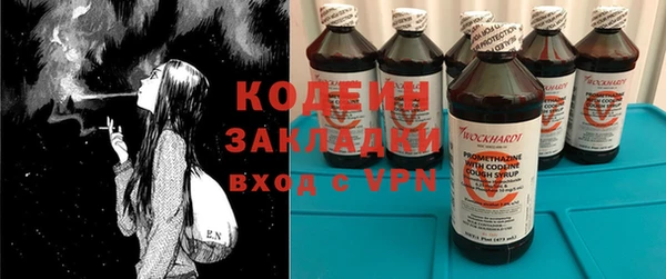 прущие грибы Дмитровск