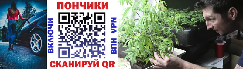 МАРИХУАНА ГИДРОПОН Купить Орлов